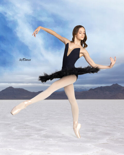 Ballet | Tutu basque and So Danca Ballet | Tutu basque and So Danca